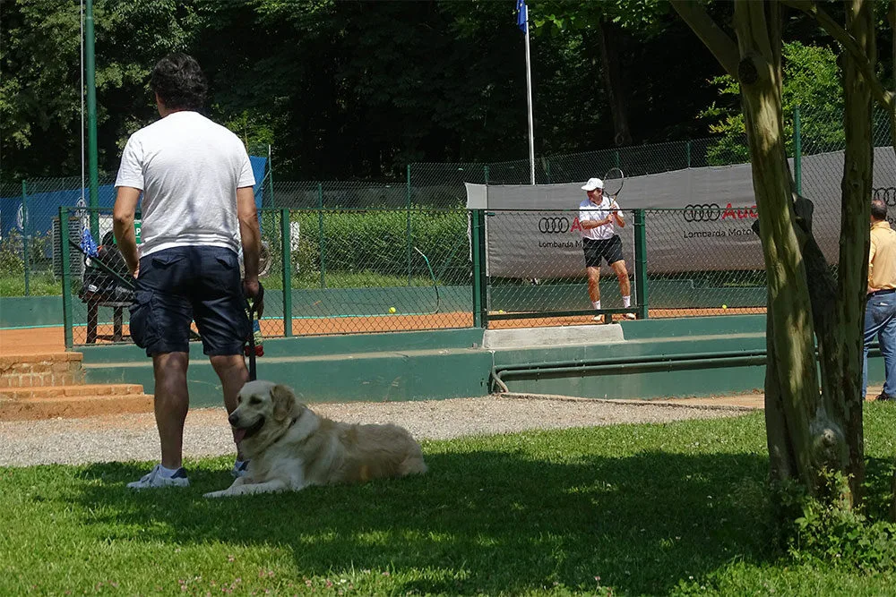 Dettaglio dei campi da tennis